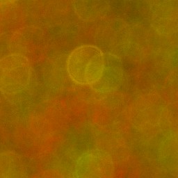 Bokeh-468